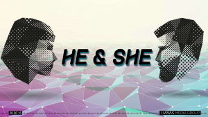 Tyche Leadership Consulting_Paul Frampton Gender Diversity presentation at the 'He AND She Conference'