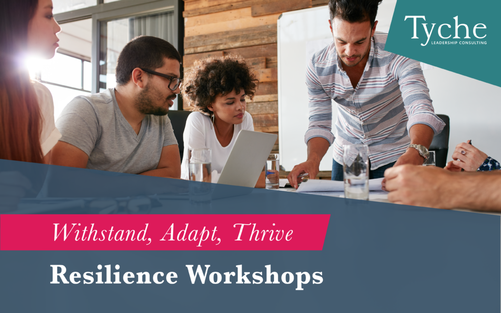 Resilience Workshops