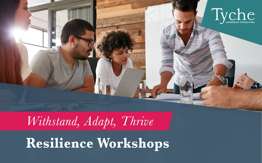 Resilience Workshops